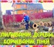 Фото в Строительство и ремонт Другие строительные услуги Спиливание деревьев и корчевание пней. Расчистка в Москве 234