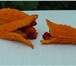 Фото в Домашние животные Растения Момордика – лианообразное растение, плоды в Краснодаре 10