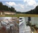 Изображение в Прочее,  разное Разное Для постройки Экофермы «Егорова Долина» по в Москве 4 000 000