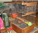 Фото в Домашние животные Товары для животных Габариты 40х49х24 см. Состояние хорошее, в Москве 2 000