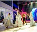 Фотография в Развлечения и досуг Организация праздников Организация праздников и свадеб в Ставрополе, в Ставрополе 0
