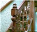 Фото в Строительство и ремонт Дизайн интерьера Лестницы для дома от простых до эксклюзивных. в Барнауле 40 000