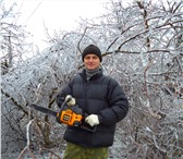 Фото в Прочее,  разное Разное Пилю деревья и дрова(недорого). в Славянск-на-Кубани 100