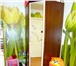 Фото в Недвижимость Комнаты комната в двух комнатной квартире с адресацией, в Красноярске 750