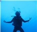Фото в Спорт Разное Курс Open Water Diver (Первоначальный курс в Москве 0