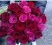 Foto в Домашние животные Растения Роскошные букеты из голландских роз от лучших в Красноярске 1 485