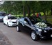 Фото в Авторынок Авто на заказ Компания «Свадебный кортеж» рады предложить в Нижнем Новгороде 350