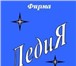 Фотография в Одежда и обувь Женская одежда Наша  фирма  на  рынке  уже  более  10  лет. в Иваново 320