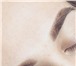 Изображение в Красота и здоровье Косметические услуги Перманентный макияж бровей, губ, век (стрелка) в Вологде 3 500