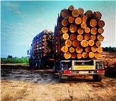 Фотография в Строительство и ремонт Строительные материалы Бревна лиственницы и кедраНеобрезная доска в Казани 8 000