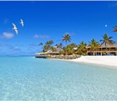 Foto в Работа Вакансии Требуется оператор ПК. Оплата ежедневно! в Брянске 60 000