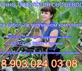 Foto в Работа Вакансии Приглашаем на работу активных, ответственных в Старом Осколе 30 000