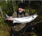 Изображение в Хобби и увлечения Рыбалка Рыболовные туры на лососёвых реках Кольского в Мурманске 3 500