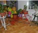 Изображение в Мебель и интерьер Мебель для дачи и сада изготовление подставок под цветы.

покраска в Омске 0