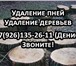 Foto в Строительство и ремонт Другие строительные услуги Мешает пень или дерево на участке или кладбище? в Москве 5 000
