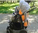 Изображение в Для детей Детские коляски Зима. Лето. Автолюлька переноска в Волжском 9 000