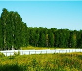 Foto в Недвижимость Земельные участки Продам участок в загородном поселке "Сказка». в Красноярске 260 000