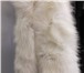 Foto в Одежда и обувь Аксессуары Песец белый полярный, цвет натуральныйПримерный в Омске 5 500