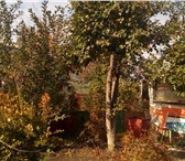Фото в Недвижимость Сады Продаётся дачный участок , тракторосад №4 в Челябинске 230 000