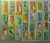 Фото в Хобби и увлечения Коллекционирование Более 30 тысяч почтовых марок. Советы- только в Новосибирске 345 000