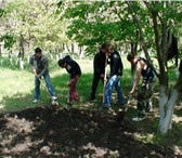 Фото в Работа Разное Русские парни выполнят любые земельные работы,строительные в Москве 1 600