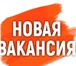 Фотография в Работа Работа на дому Требуются сотрудники на удаленную работу. в Москве 28 900