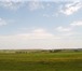 Foto в Недвижимость Земельные участки Продается земельный участок сельскохозяйственного в Серпухове 80 000