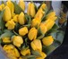 Foto в Домашние животные Растения Продаю тюльпаны к 8 марта , 11 наилучших в Саратове 28