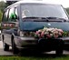 Foto в Авторынок Такси Микроавтобусы:   Заказ-Успуги-Аренда.  СВАДЬБЫ: в Красноярске 500