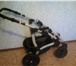 Фотография в Для детей Детские коляски Продам отличную фирменную коляску 2в1 Bebetto в Омске 6 999
