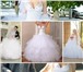 Фотография в Одежда и обувь Свадебные платья Продам новое свадебное платье + чехол и кринолин в Санкт-Петербурге 16 000