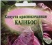 Фото в Хобби и увлечения Разное Продаем семена цветов, овощей, лекарственных в Новороссийске 10
