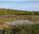 Очистка прудов и водоемов от донных отло