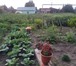 Foto в Недвижимость Продажа домов 3х-комнатный дом, собственник в Красноярске 1 600 000
