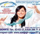 Изображение в Прочее,  разное Разное Уничтожение клопов, тараканов, муравьев, в Орле 0