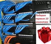 Фотография в Строительство и ремонт Электрика (услуги) Монтаж структурированных кабельных сетей в Санкт-Петербурге 1 000