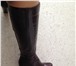 Фото в Одежда и обувь Женская обувь Продам новые сапоги натуральная лаковая кожа, в Челябинске 3 500