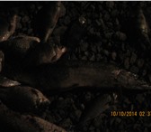 Фото в Строительство и ремонт Разное выполним сварочные работы,сварка ворот,заборов,лестниц,выезжаем в Уфе 0