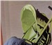 Изображение в Для детей Детские коляски Продам прогулочную коляску, б/у 1 месяц, в Новокузнецке 2 500