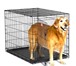 Фотография в Домашние животные Товары для животных Клетка для собак №5: 108 см длина, 72 см в Красноярске 3 500