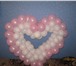 Изображение в Развлечения и досуг Организация праздников оригинальные подарки из воздушных шариков. в Дзержинске 300