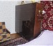 Изображение в Недвижимость Аренда жилья Сдам 3х комнатную квартиру на длительный в Волгореченск 10 000
