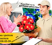 Фото в Домашние животные Растения Доставка цветов без наценок в Муроме. Соберем в Москве 2 000