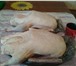 Фото в Домашние животные Птички Продаются гусиные тушки с потрахами. 330 в Оренбурге 330