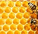 Мед – это самое полезное и целебное лако