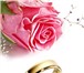 Изображение в Развлечения и досуг Организация праздников Фотовидеосъемка свадеб, юбилеев, венчаний, в Челябинске 0
