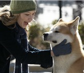 Фото в Работа Работа для подростков и школьников Добрый день. Ищу работу в Усть-Илимске на в Усть-Илимск 3 000