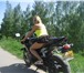 Foto в Авторынок Мотоциклы отличное состояние 10 г в пробег 12 т км. в Москве 400 000