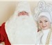 Фотография в Развлечения и досуг Организация праздников Вызов на дом Деда Мороза  Снегурочки   Тигра в Щекино 800