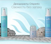 Изображение в Красота и здоровье Товары для здоровья Минеральные дезодоранты Криспенто cозданы в Костроме 590